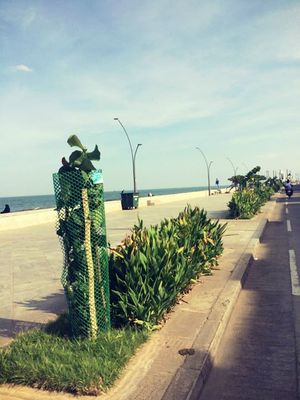Away we go (Pondicherry – Auroville)