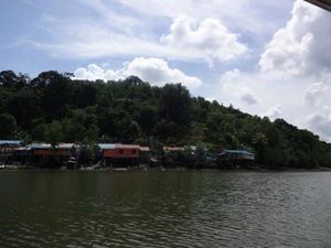 Kuching Wetlands National Park Kuching Sarawak Malaysia 1/1 by Tripoto