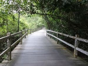 Permai Rainforest Resort Kuching Malaysia 1/1 by Tripoto