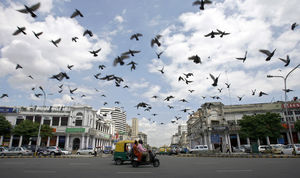 Experience Delhi - The Heart of Delhi