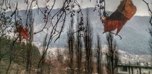 Kheerganga And Monsoons!!