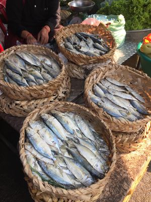 Cooking in Phnom Penh