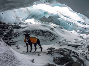 Explore Byron Glacier in Portage, Alaska
