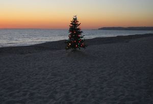 Sunny Christmas at Bondi Beach, Australia