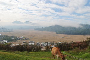 Discovering Ziro: On the Trail of the Apatanis