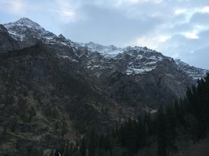 The killer silence of Kheerganga
