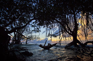 Perennially Broke? Here Are The Cheapest Months To Visit The Top 10 Destinations In India
