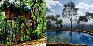 Chuck Backwaters In Kerala, Stay In A Real Treehouse And Dive In A Natural Infinity Pool Instead