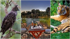 Why The Panna-Pench Wildlife Trail Needs To Be On Your Bucket List