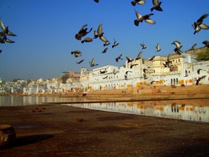 Pushkar Lake 1/30 by Tripoto