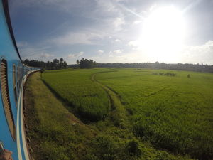 Here Is How I Went Backpacking In Sri Lanka Under 30K!!!