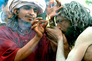 Kasol: Good, Bad and the Trippy
