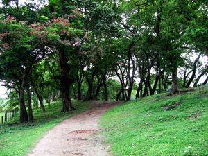 The 2500-year-old lost city of Bengal