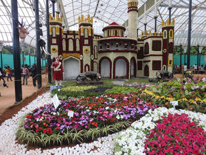 Lalbagh Independence Day Flower Show 2015- Bangalore