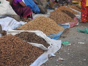 Bangalore - Annual Groundnut Fair - Kadlekai Parishe - A 400 year old tradition