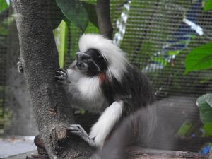 My favourite photography locations in Singapore Part 1- Jurong Bird Park and Chinatown.