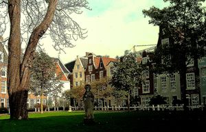 Begijnhof 1/5 by Tripoto