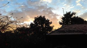 Ayurvedic retreat