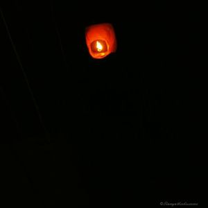 A Wish Lantern that flew -Cold, breezy, romantic Royal Orchid Resort, Bangalore