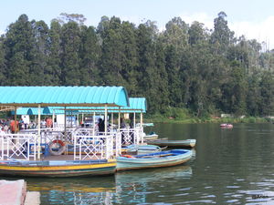 Ooty Lake 1/11 by Tripoto