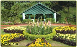 Coonoor