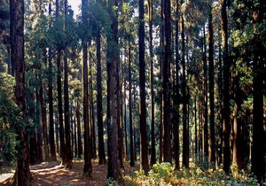 5 Most Haunted Places in India