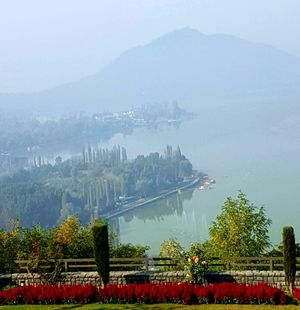 Paradise lost (almost) - Srinagar- Day 5 - Kashmir Diary Sept 2016