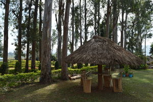 Padmapuram Garden 1/1 by Tripoto