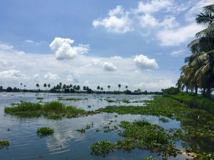 Still Water | Still Time: Alleppey