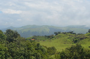 Nature at it's best- Narasimhaparvatha, the tallest in Agumbe Region.