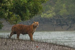 5 Places to visit in India before they disappear