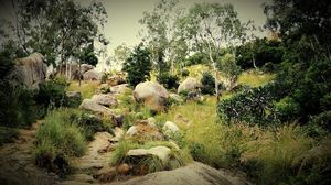 Day ride to Antargange