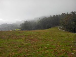 Long drive to Bandipur Tiger Reserves and places around Ooty