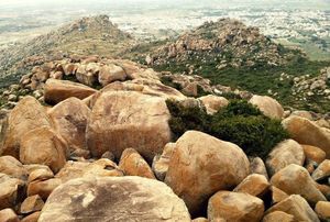 10 Best One Day Road Trips from Bangalore