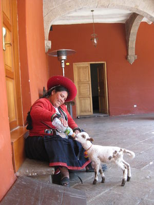 Inca Trail in Style