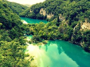 How I met a Bear and got chased by it..in Croatia