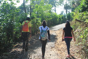 Tadiandamol - The Highest Peak in Kodagu !