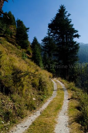 Naggar: A Quiet Getaway in the Hills