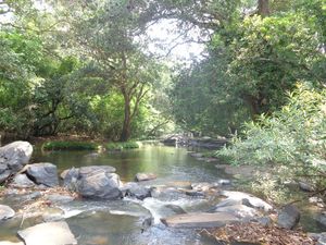 Coorg