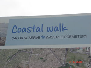 A Walk to Remember: Bondi to Coogee Beach