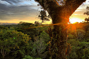 7 Reasons To Visit Ecuador