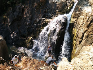Dandeli…