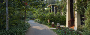 Experience the incredible beauty of nature at Club Mahindra, Virajpet