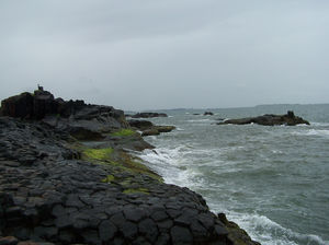 Along the Konkan Coast - Discover New Beaches