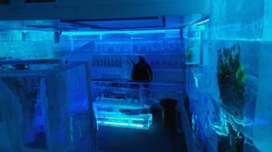 Ice Pub 1/1 by Tripoto