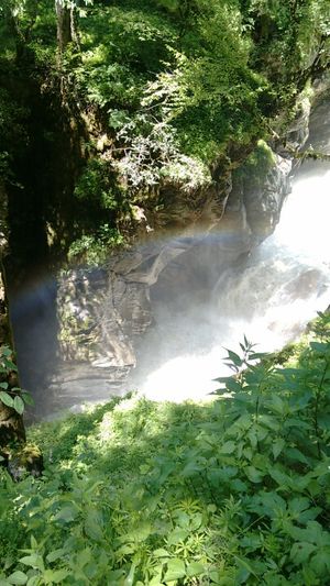 Kheerganga : Magical trails of hidden Parvati Valley.