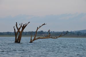 Kabini – A Paradise for Nature Lovers and Lazy People!