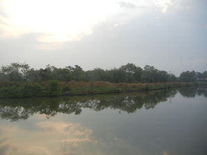 Goa with peace