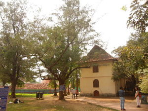 What to do in Kochi or Cochin?