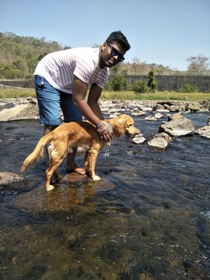 Zorro's Adventure (Khardi)